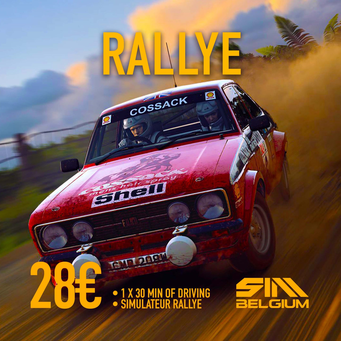 RALLYE Simulator
