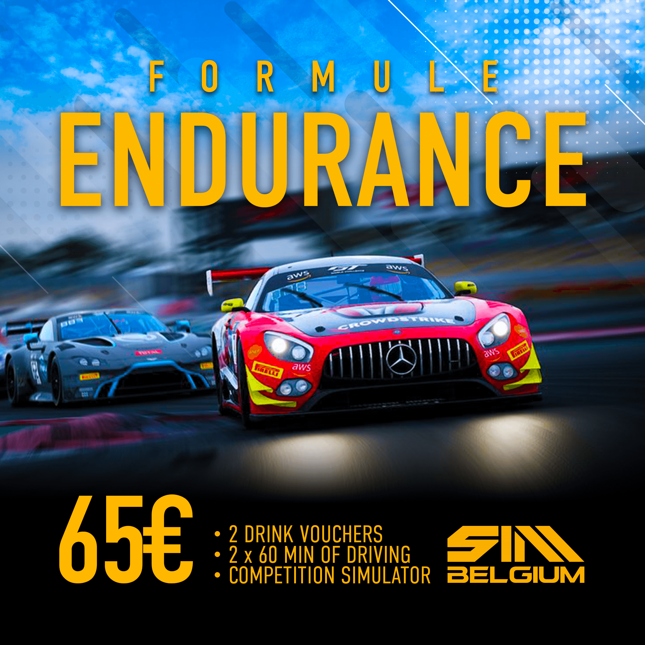 Endurance Sim Racing DRIVING SIMULATION CENTER – SIM CENTER